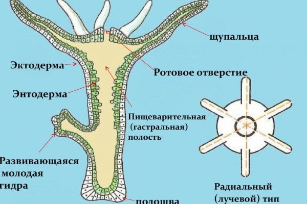 Кракен даркнет официальный