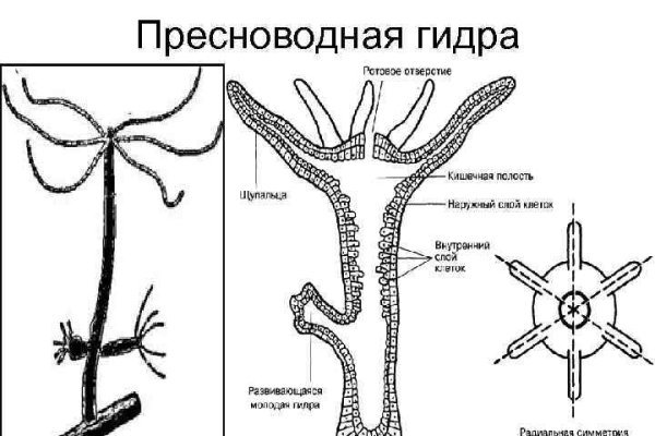 Кракен сообщество