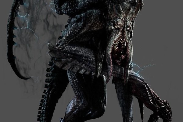 Kraken link