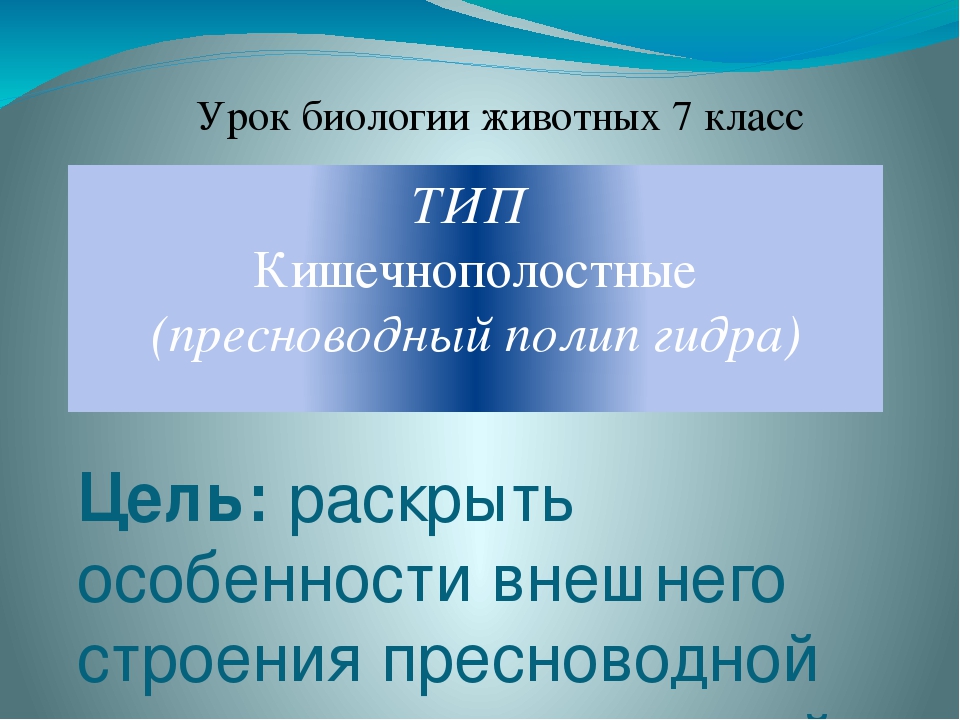 Kra28at