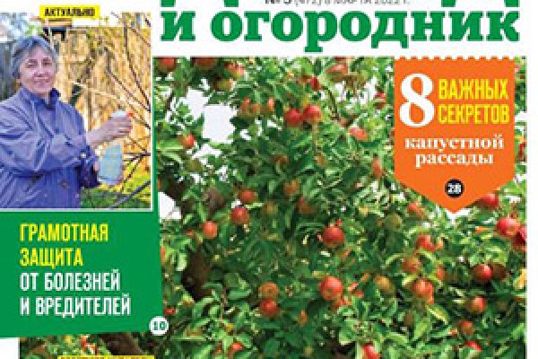 Кракен онион даркнет площадка